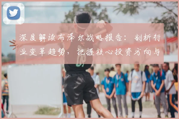 深度解读布泽尔战略报告：剖析行业变革趋势，把握核心投资方向与应用策略